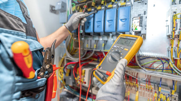 Best Electric Panel Repair  in Knoxville, IA